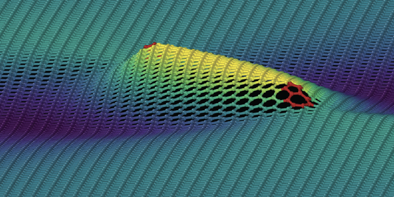 nonbasal_sw_perspective